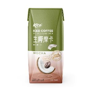 Best Iced Coffee Coconut Milk Mocha  Dairy   Free 