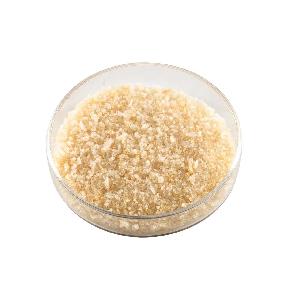 Bird's  Nest  Peptide