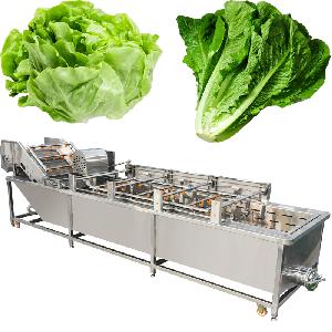 Leafy Vegetables Lettuce