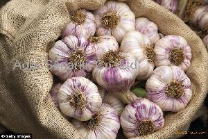 Chinese Galic Fresh