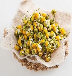 Chamomile for export and import