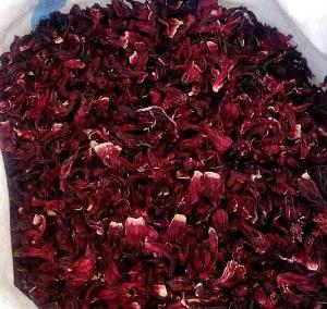 hibiscus for export and import