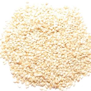 Sesame White for export and import