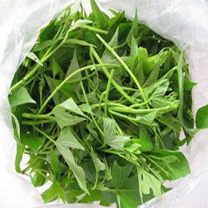 Frozen Sweet Potato Leaves Minced