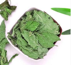 Dried peppermint for export and import