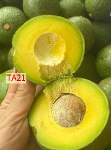 Frozen TA21 Avocado Half Cut