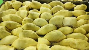 Frozen Monthong  Durian  Seed In