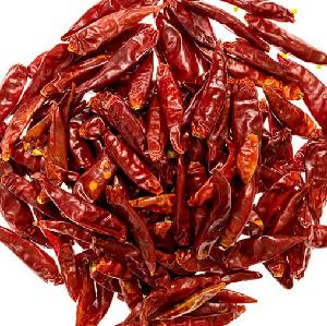 chill pepper for export and import