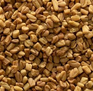 Fenugreek Seeds for export and import