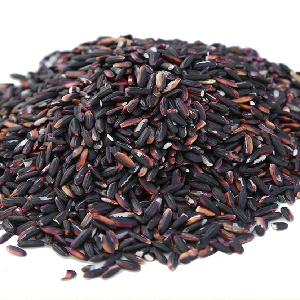 BLACK RICE