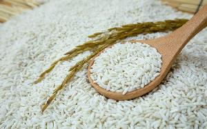 STICKY RICE