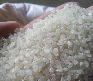 SUSHI RICE