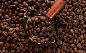 COFFEE BEAN MONDULKIRI, CAMBODIA