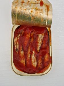CANNED SARDINES TOMATO SAUCE