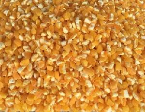NON-GMO YELLOW CORN