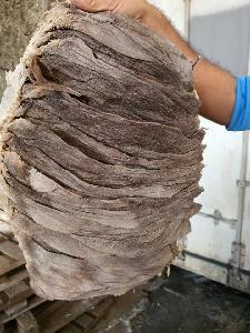  Salted   Dried  Beef Omasum Grade AA
