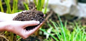 BIOCHAR FERTILIZER