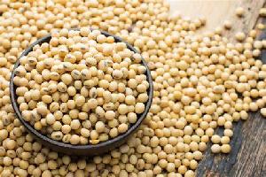 SOYBEANS