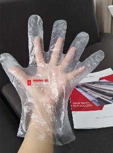 A High Performance Gloves From Vietnam Manufacturer ODM With Best Price