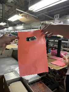 Printed Die-cut Bags Carry Bag Come From Vietnam
