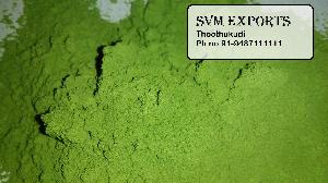 moringa leaf powder