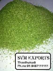 moringa tea cut