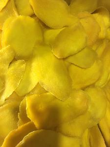 Dried Mango  Exotic  Fruit Chips Supplies